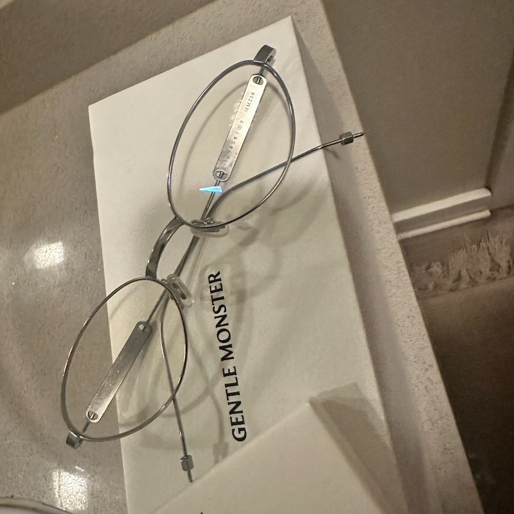 Gentle Monster Metallic Silver Frames Mm216